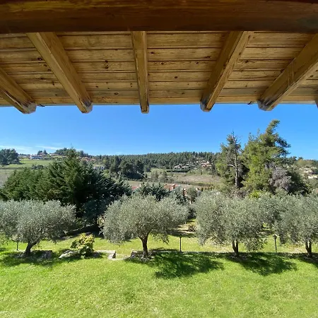 Eagleview Maisonette * Sani (Chalkidiki)